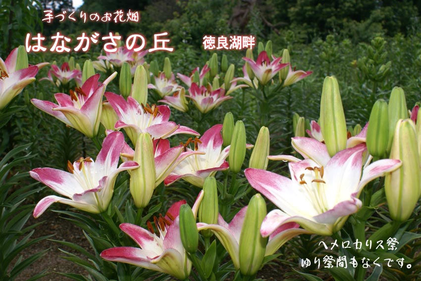 䉖