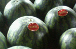 悢ăXCJY{̔ԑXCJoׂłI